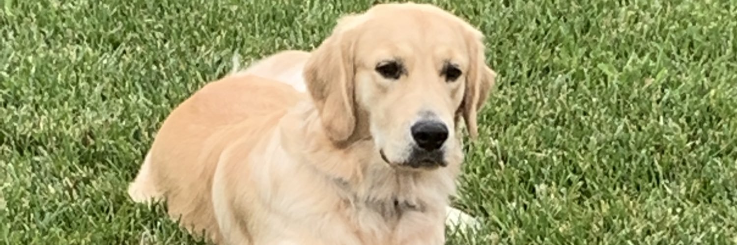 gr_logan's profile banner image