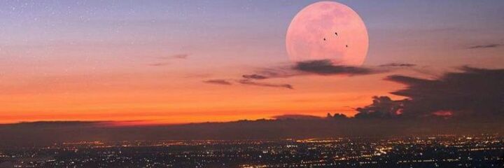 BeettiGuzman00's profile banner image