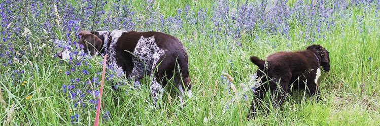 KiddyMeg's profile banner image