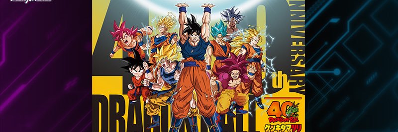 メロー　DBFW banner