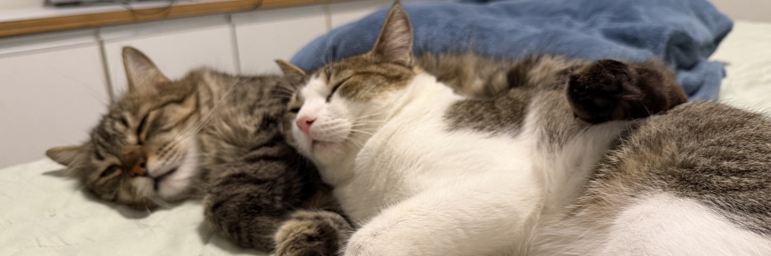 ℳ𝑎𝑟𝑖𝑎 banner
