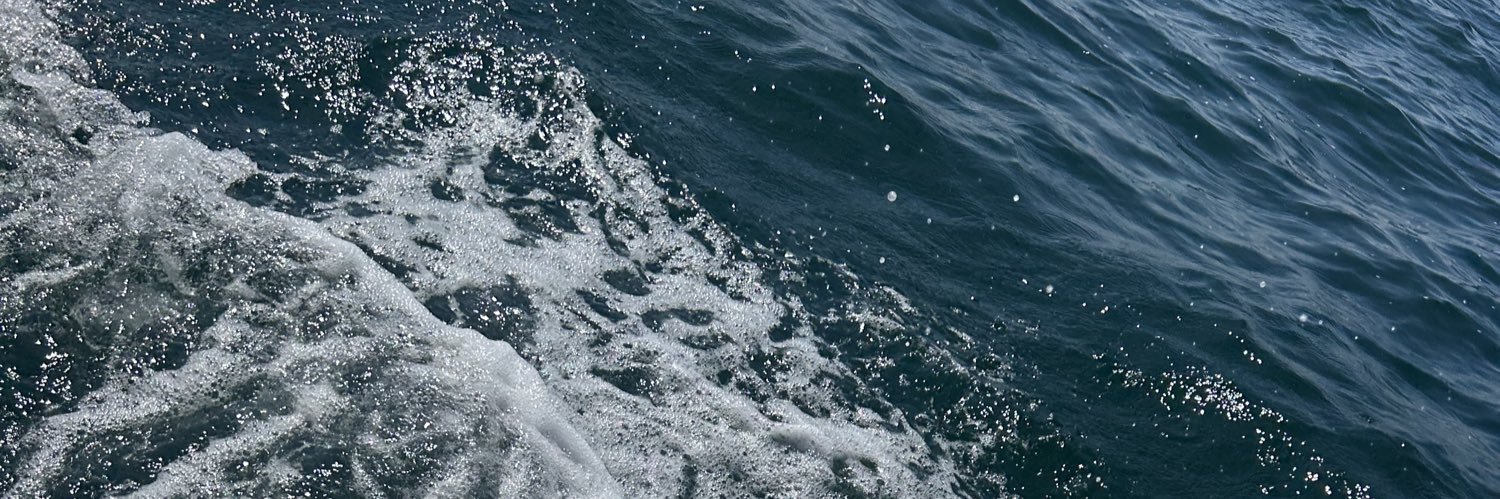 Ingriddvcr's profile banner image