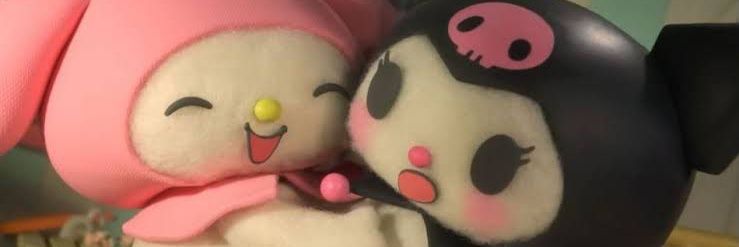 liz banner
