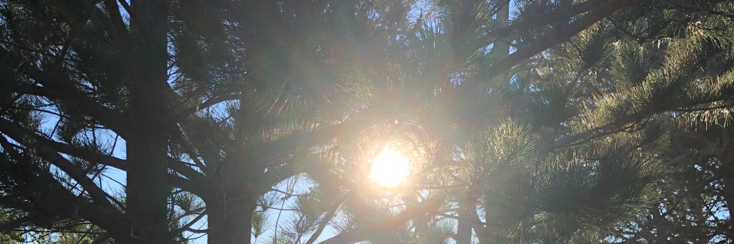 Cabrillo High PTSA banner