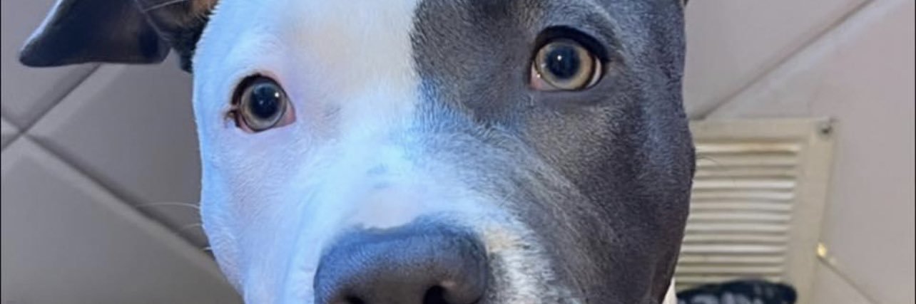 ItsRobert7's profile banner image