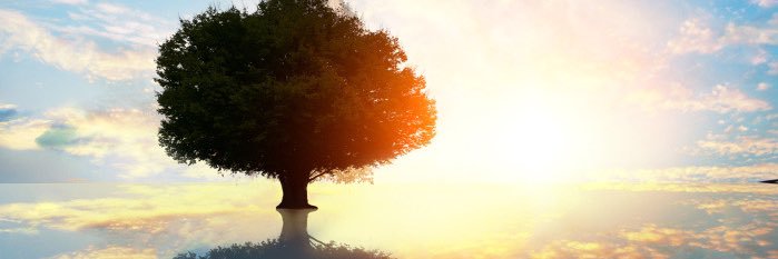 Broodednbcn's profile banner image