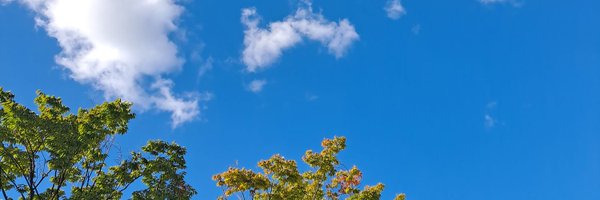 catcan_opener Profile Banner