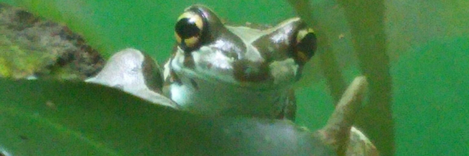 hi__ih's profile banner image