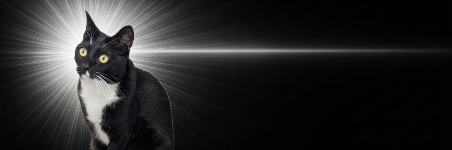 ysk_aono's profile banner image