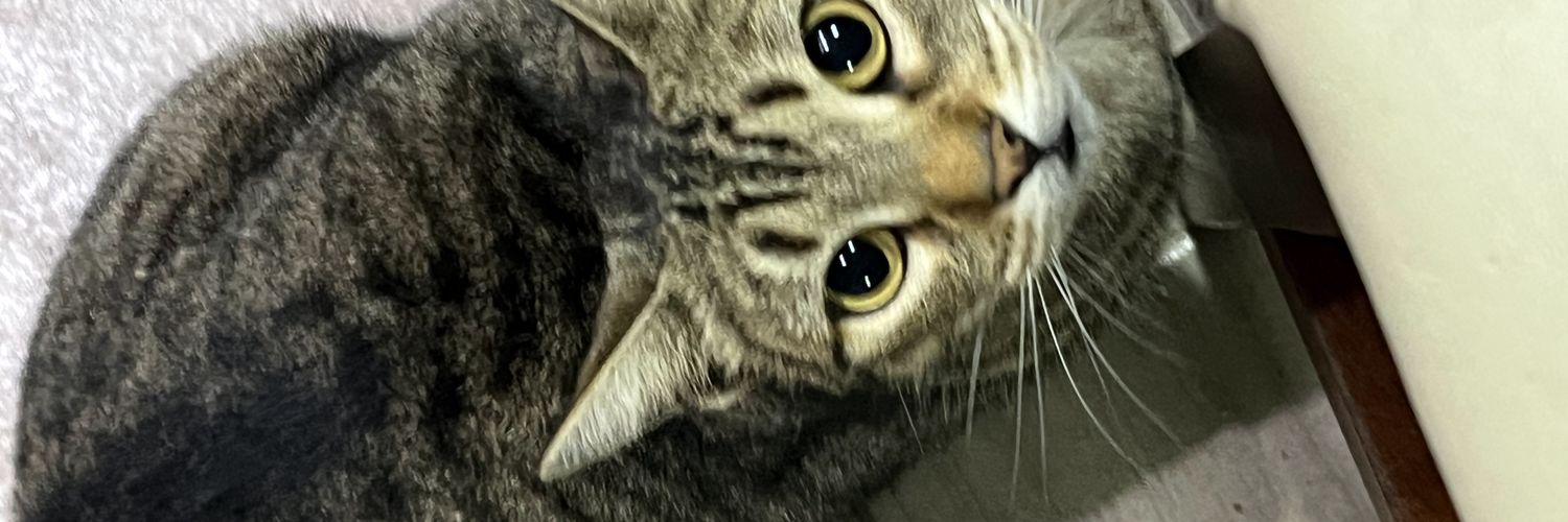 Valeenvargas99's profile banner image
