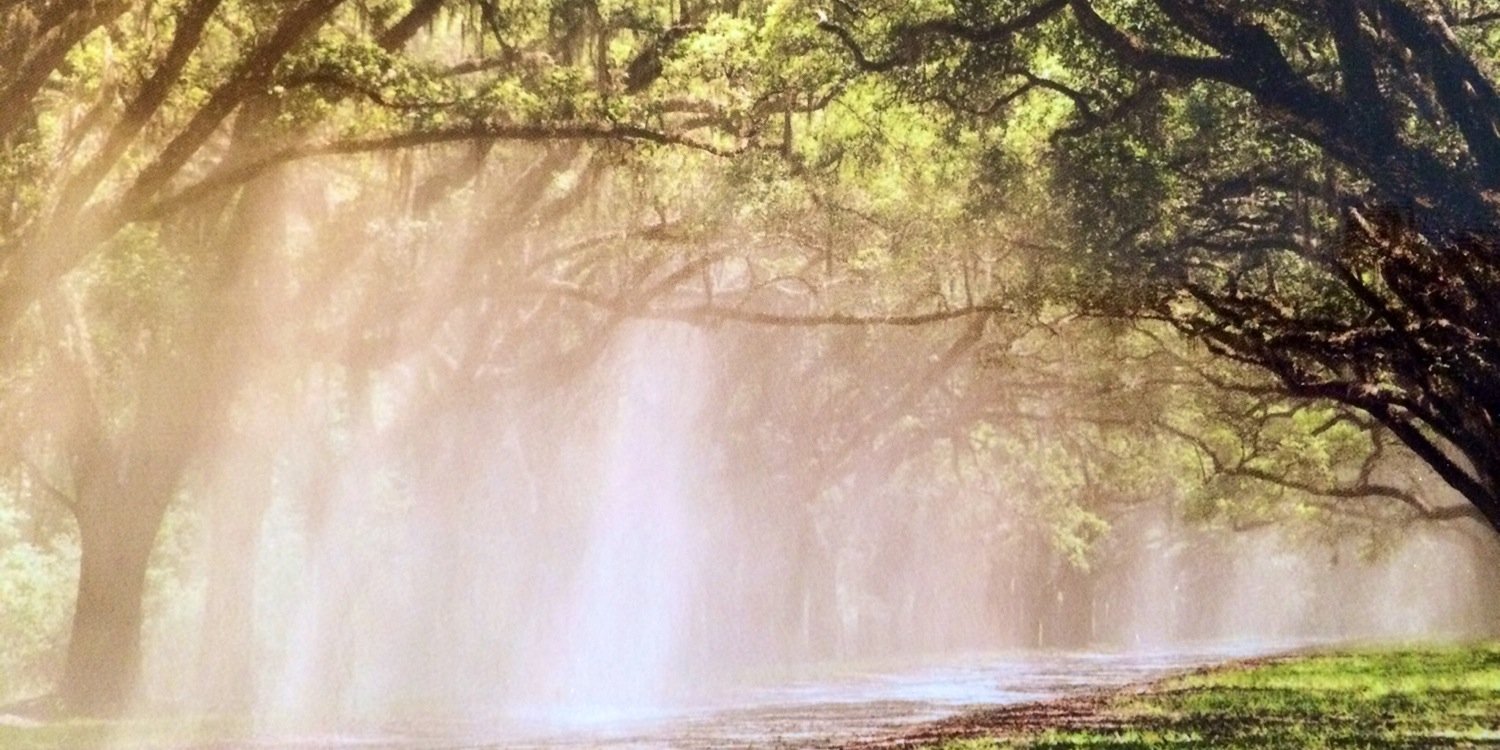 paulkeisha's profile banner image