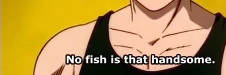meh banner