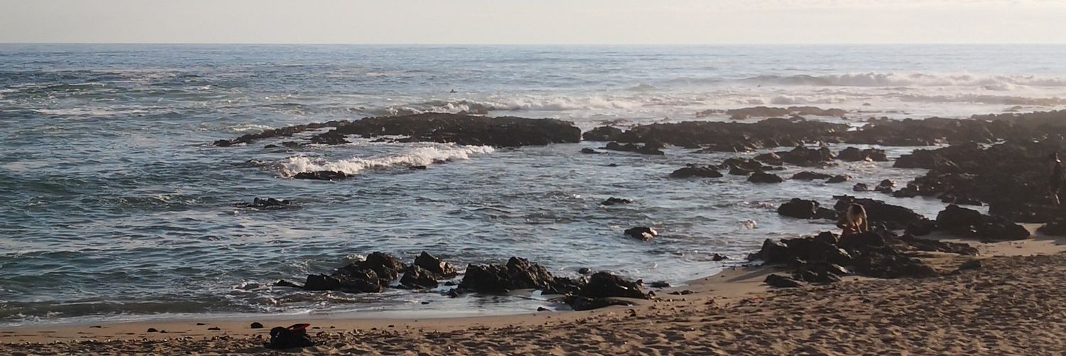 _LizJara's profile banner image