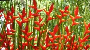 floralada1's profile banner image