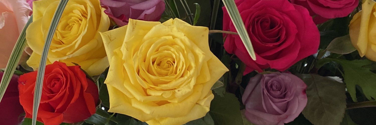 mayda_velasquez's profile banner image