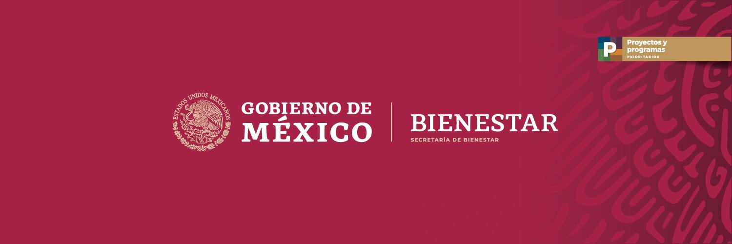 Pensión Bienestar de las Personas Adultas Mayores banner