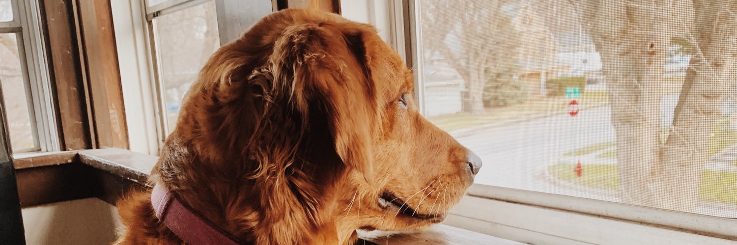 TayllaRae's profile banner image