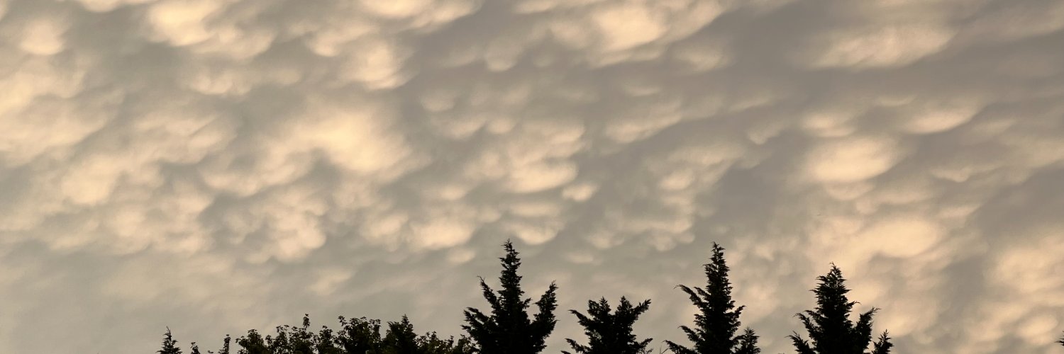 🤡🥊𝕃𝕪𝕝𝕖 𝕥𝕙𝕖 ℂ𝕝𝕠𝕨𝕟🃏 banner