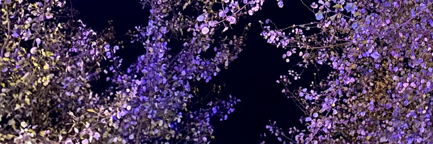 kingbeeC's profile banner image