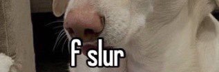 katjacustodio's profile banner image