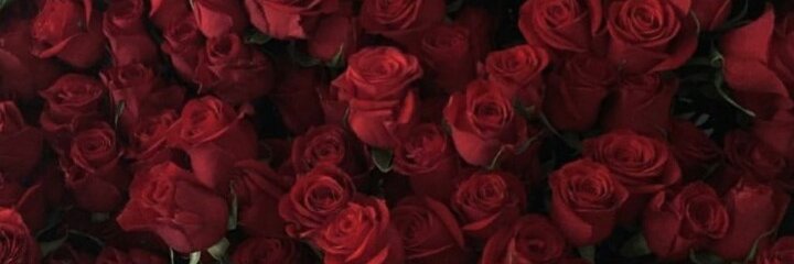 IinaHamad's profile banner image