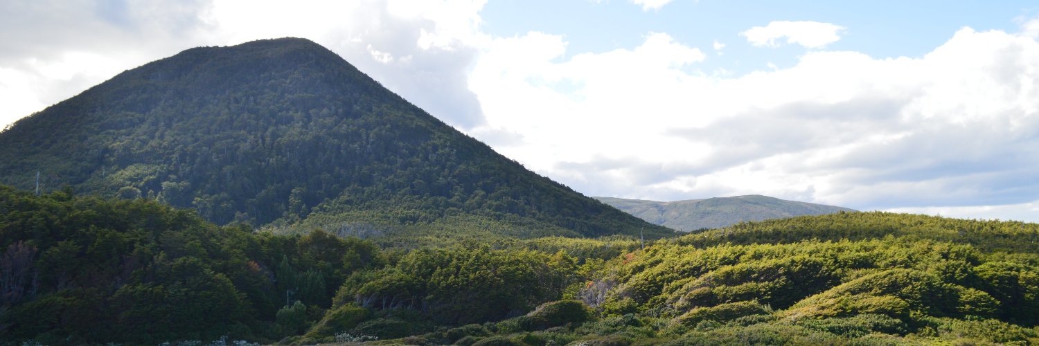 Silglieri's profile banner image