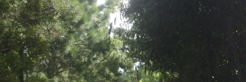 fernand56799450's profile banner image