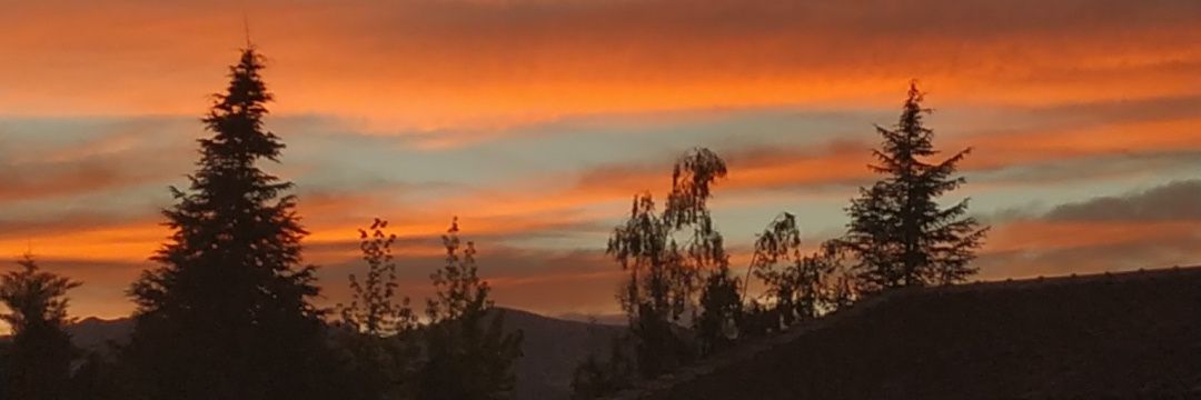 Saraa___29's profile banner image