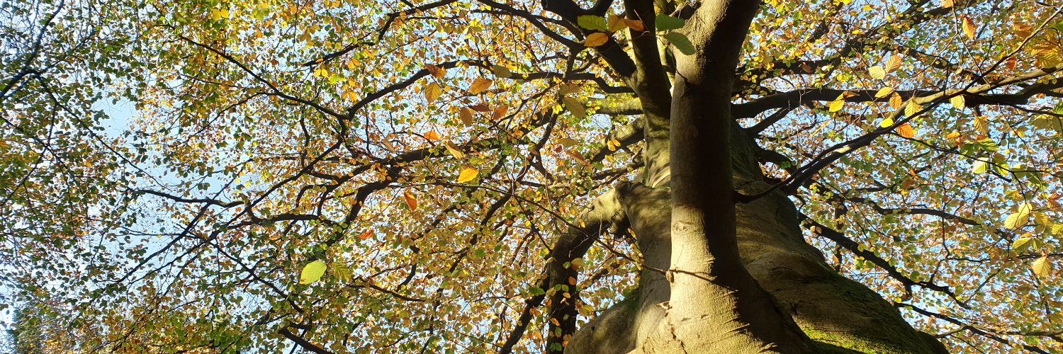 Environmental Law F. banner