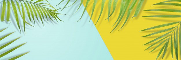 Coalition Space banner