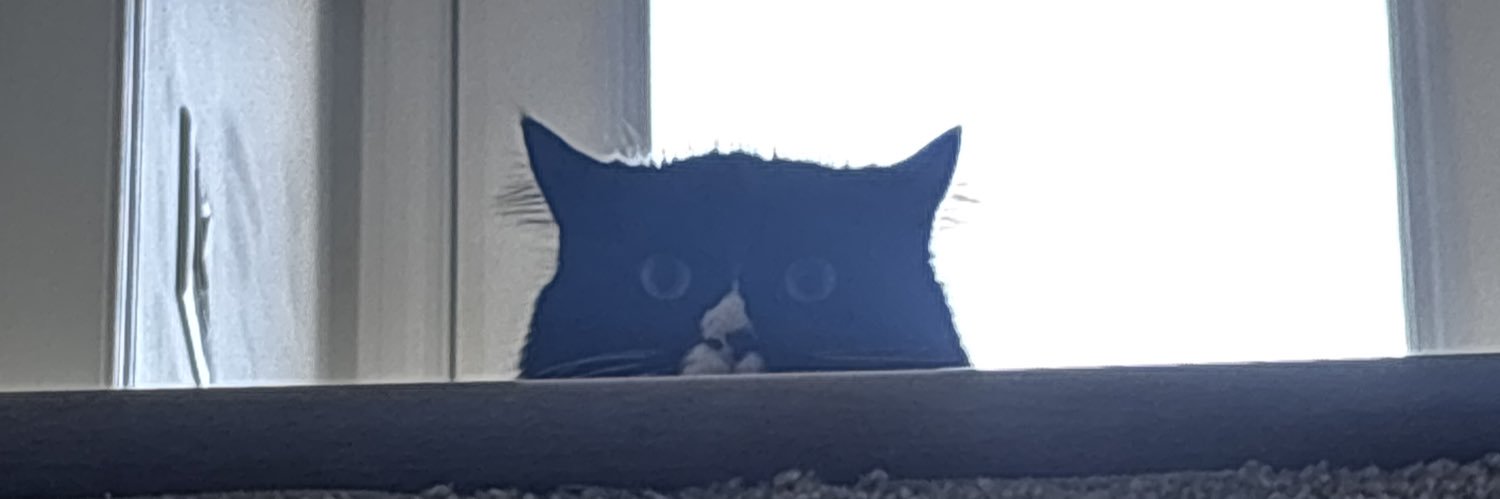 slavpowered's profile banner image