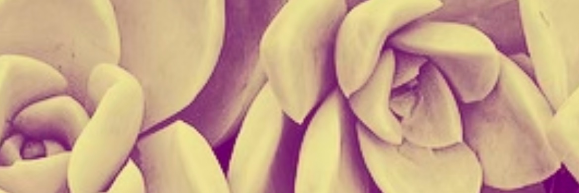 youwomanyou's profile banner image