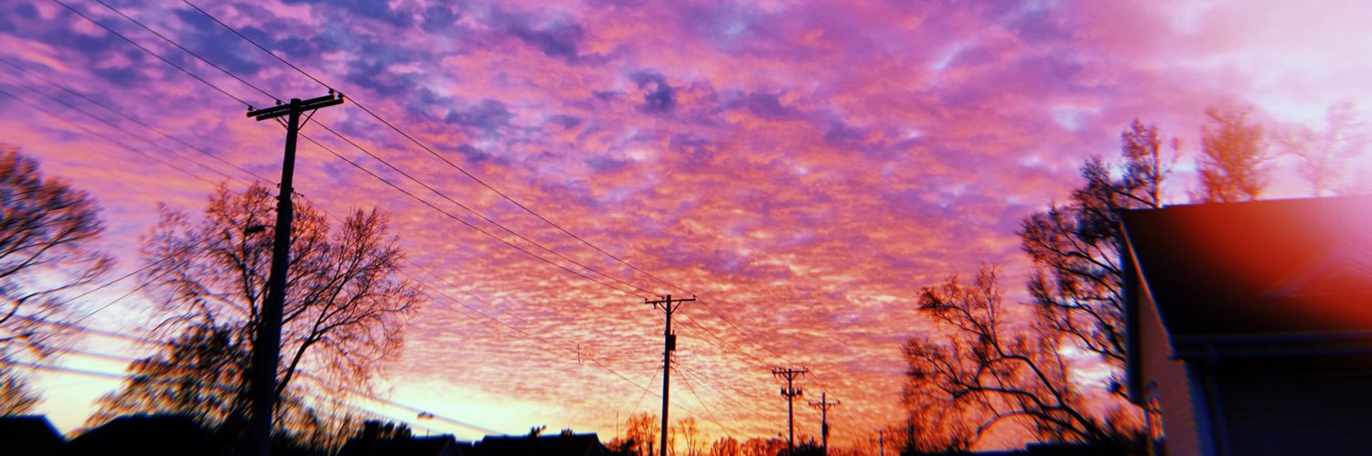 halseykrupp's profile banner image