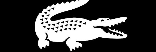 Rinaldo16029792's profile banner image
