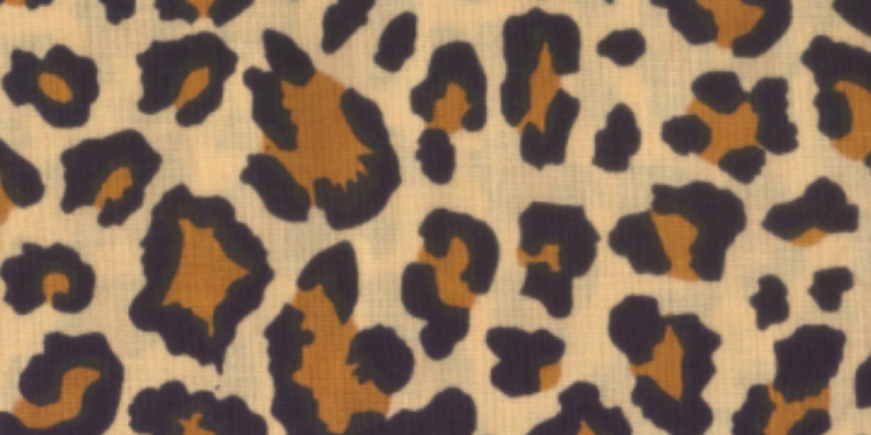 Rae_Rae000's profile banner image
