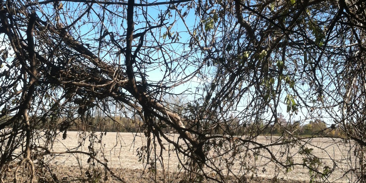 Shaun Wesley Barnard banner