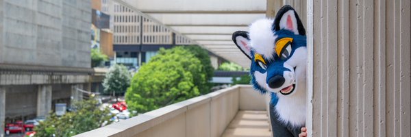 Apollo_Foxxo Profile Banner