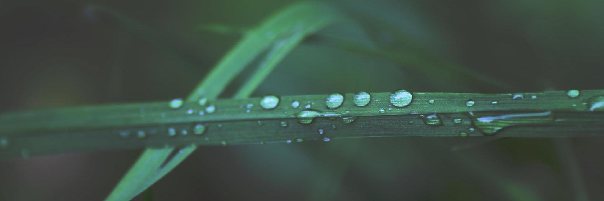 SimenBergerud's profile banner image