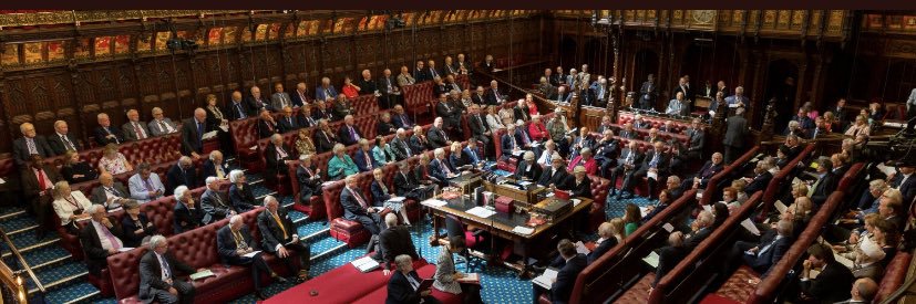 House of Lords banner