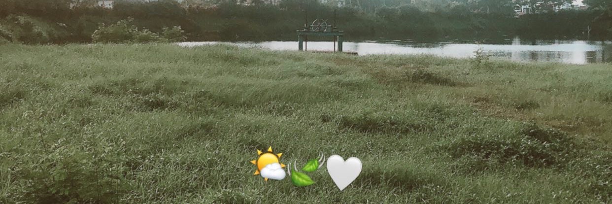 Babybanani's profile banner image