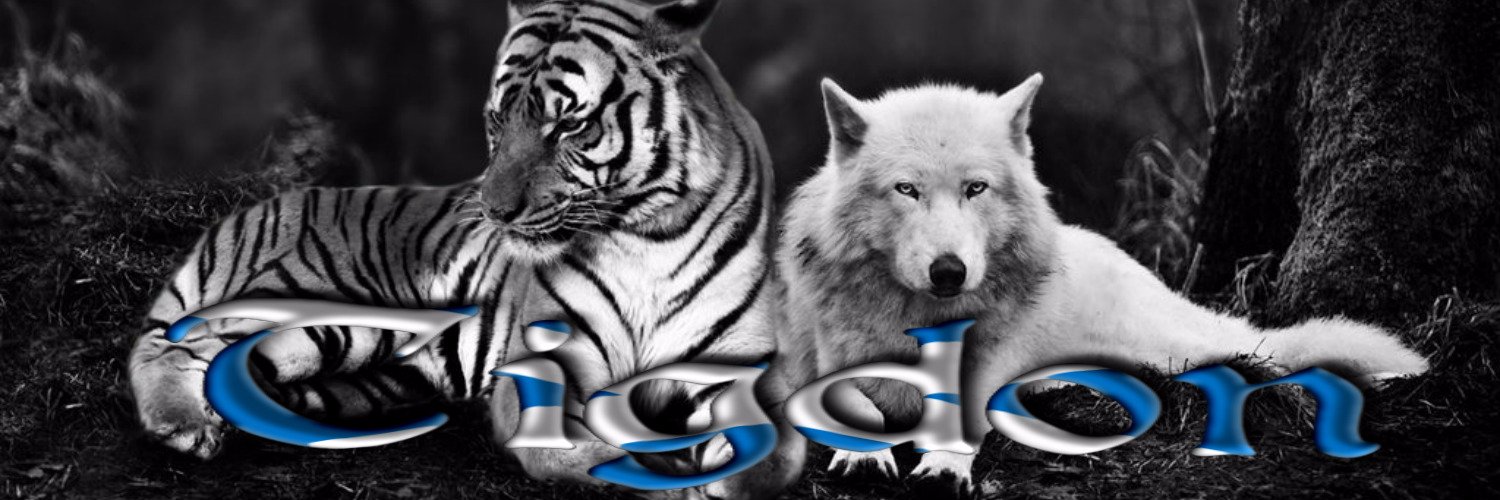 tigdon's profile banner image