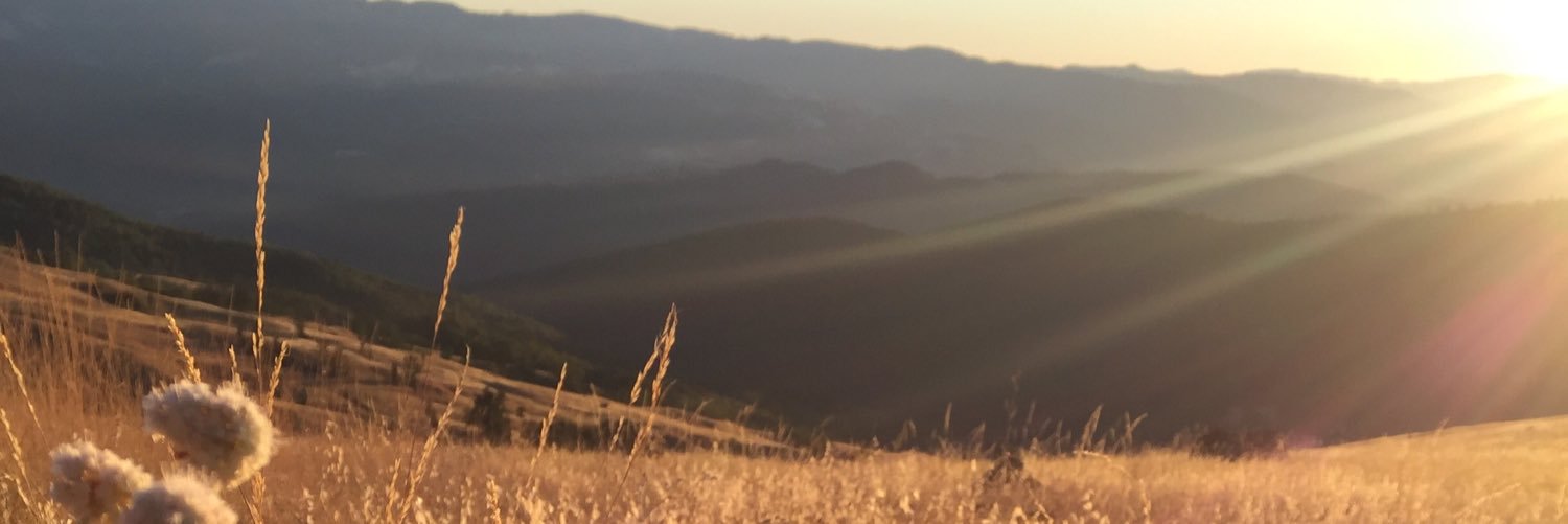 James_Roper's profile banner image