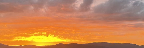 naitologic Profile Banner