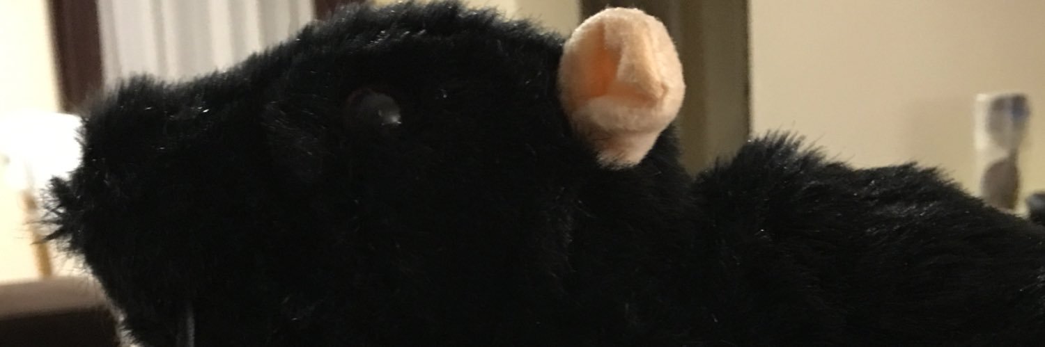 CassetAlex1's profile banner image