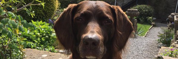 lucypphilosophy Profile Banner