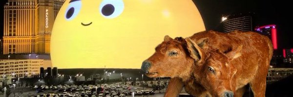 HarrysunSee Profile Banner