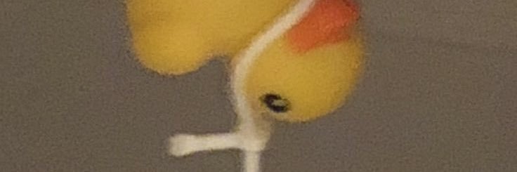 pipuk_'s profile banner image
