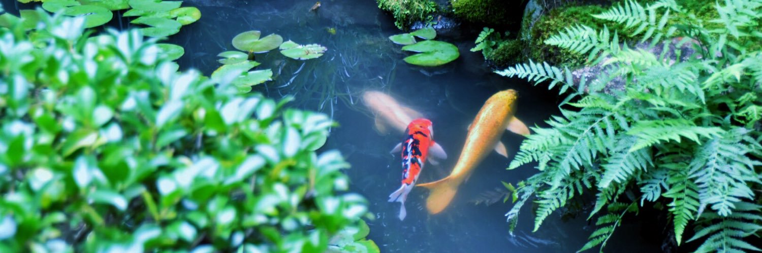 Kira@零度 参謀 banner