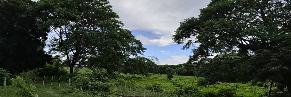 Nuvia56's profile banner image