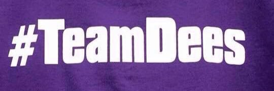 SV Tiger Softball banner